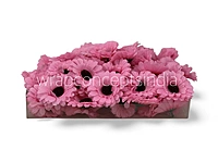 Patel Pink Gerberas