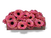 Sunset Coral Gerberas