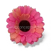 Sunset Coral Gerberas