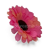 Sunset Coral Gerberas