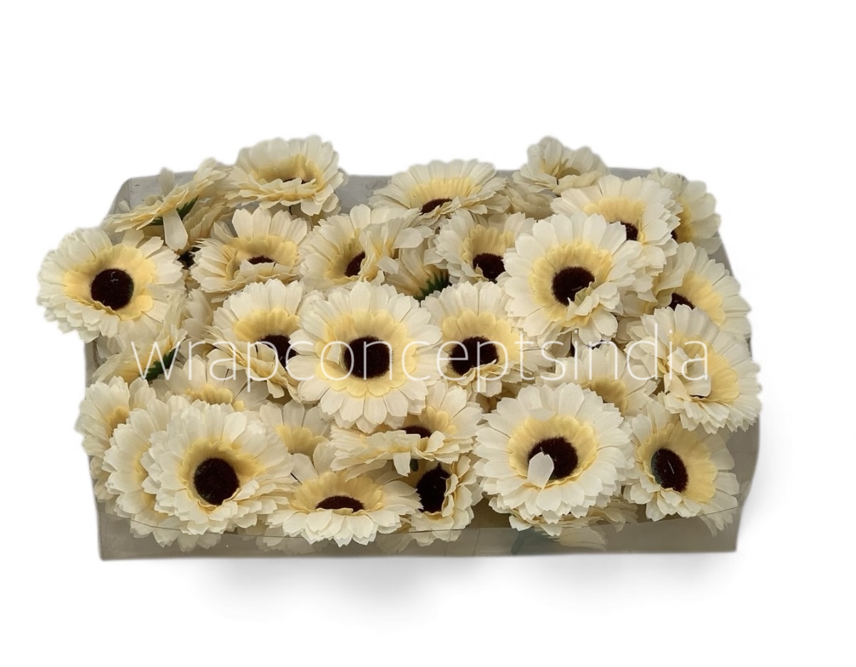 Cream Gerberas
