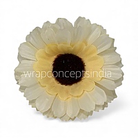 Cream Gerberas