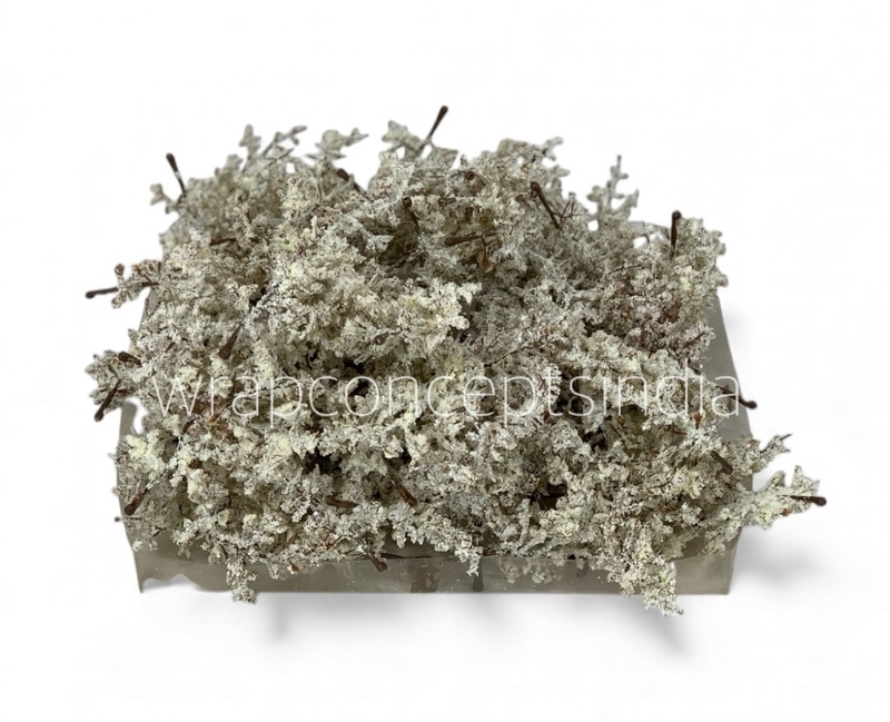 Frosted Oakleaf Twig