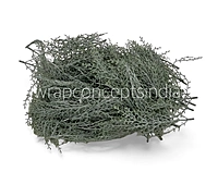Muted Green Twig