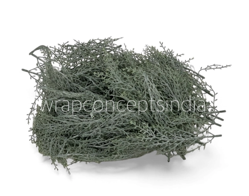Muted Green Twig