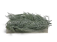 Muted Green Twig