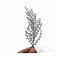 Muted Green Twig