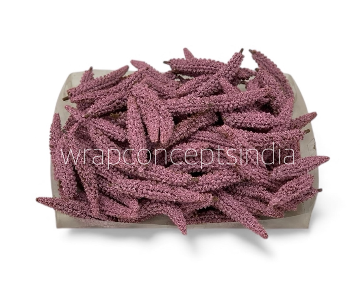 Mauve Frosted Pine Sprig