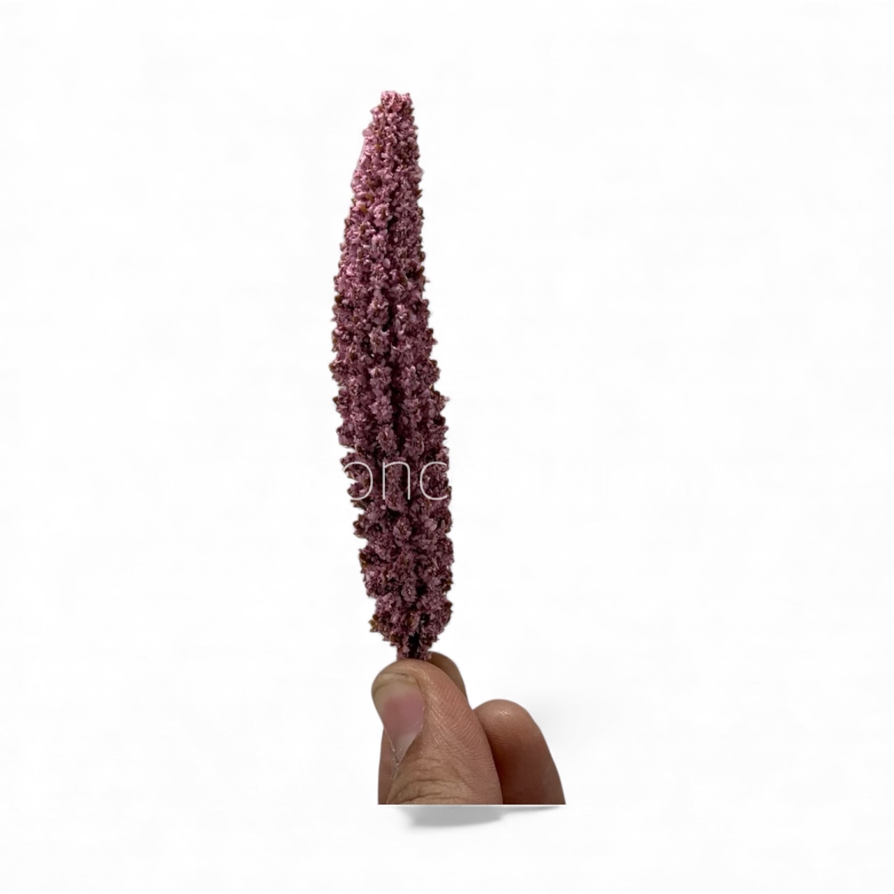Mauve Frosted Pine Sprig