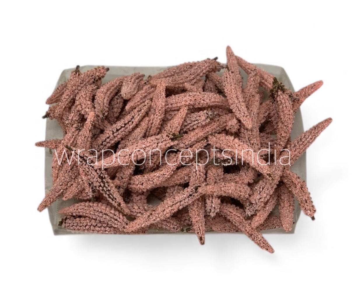 Burnt Blush Frosted Pine Sprig