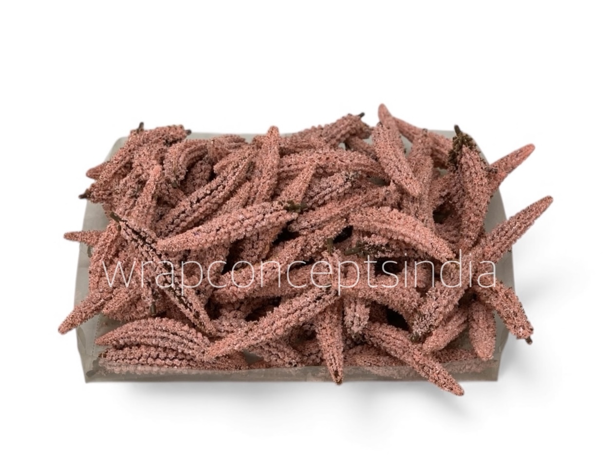 Burnt Blush Frosted Pine Sprig