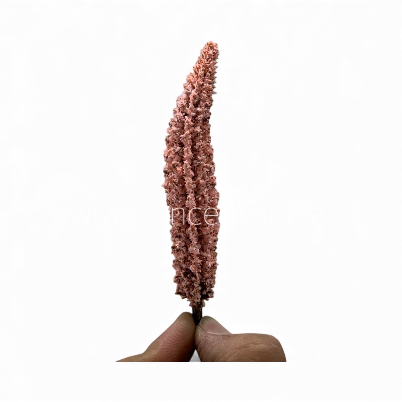 Burnt Blush Frosted Pine Sprig