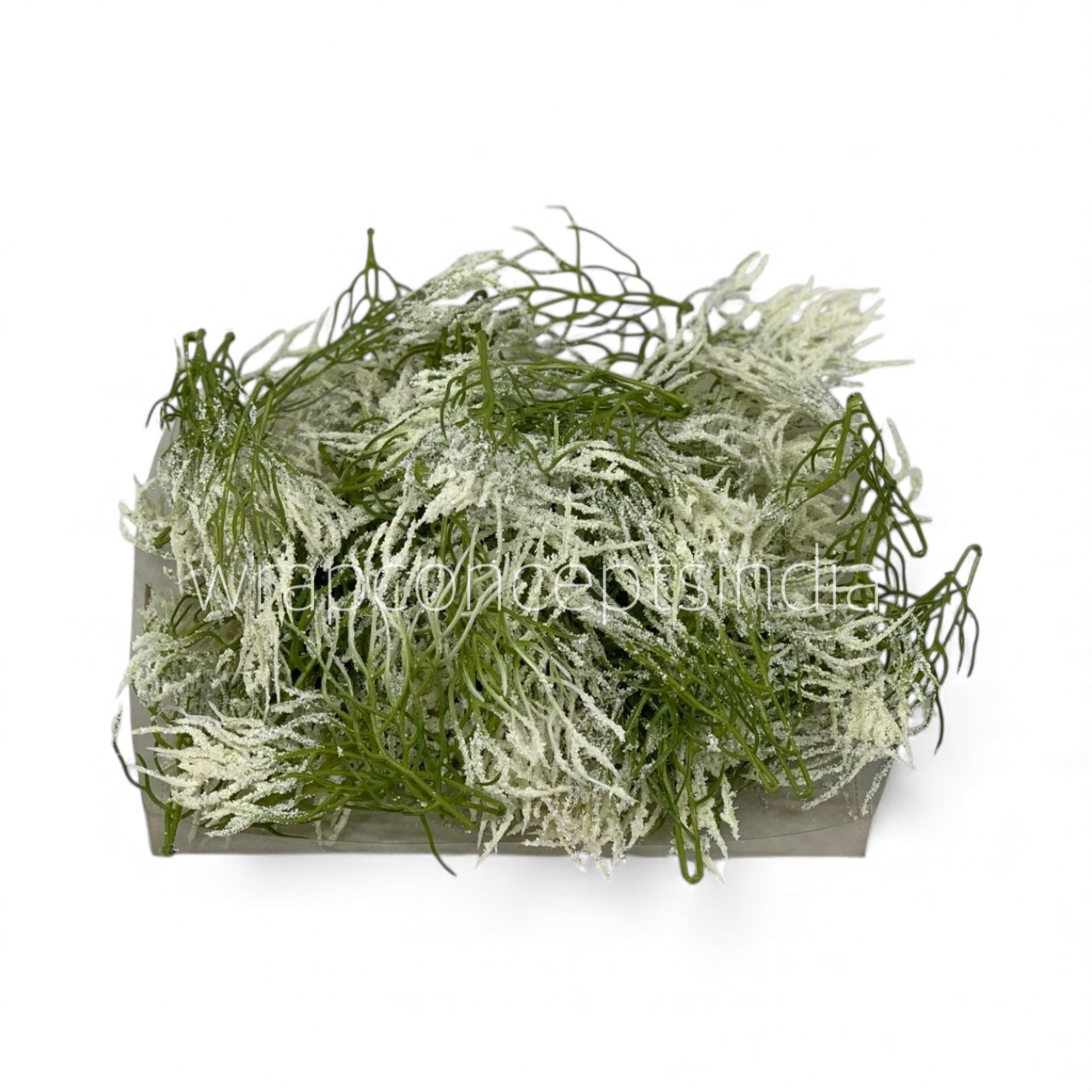 Snow-Dusted Coral Sprig