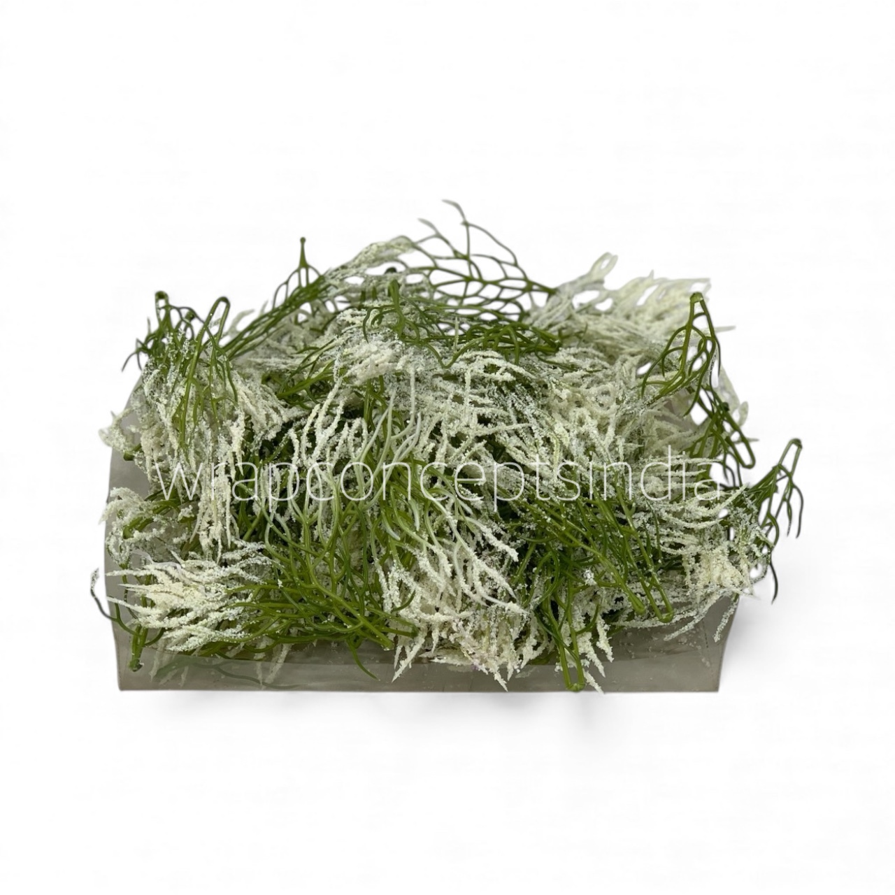 Snow-Dusted Coral Sprig