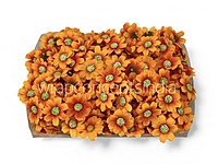 Marigold Orange Cosmos Flower