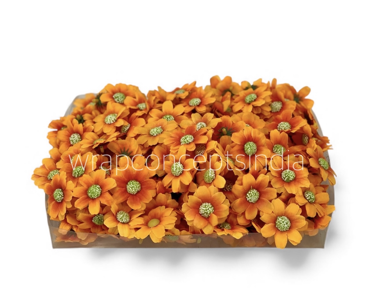 Marigold Orange Cosmos Flower