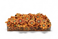 Marigold Orange Cosmos Flower