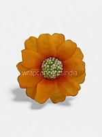 Marigold Orange Cosmos Flower