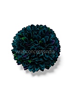 Peacock Bloom Carnation