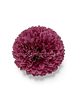 Raspberry Blush Carnation