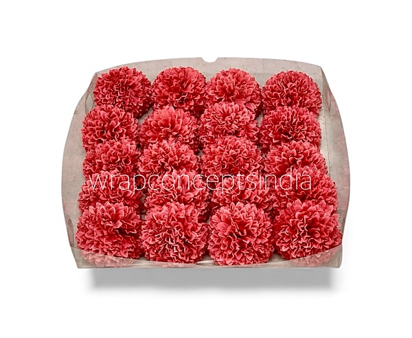 Blush Coral Carnation