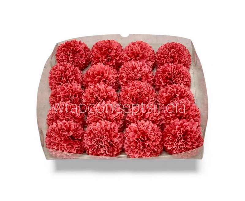 Blush Coral Carnation