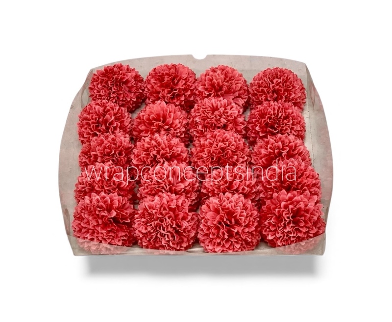 Blush Coral Carnation