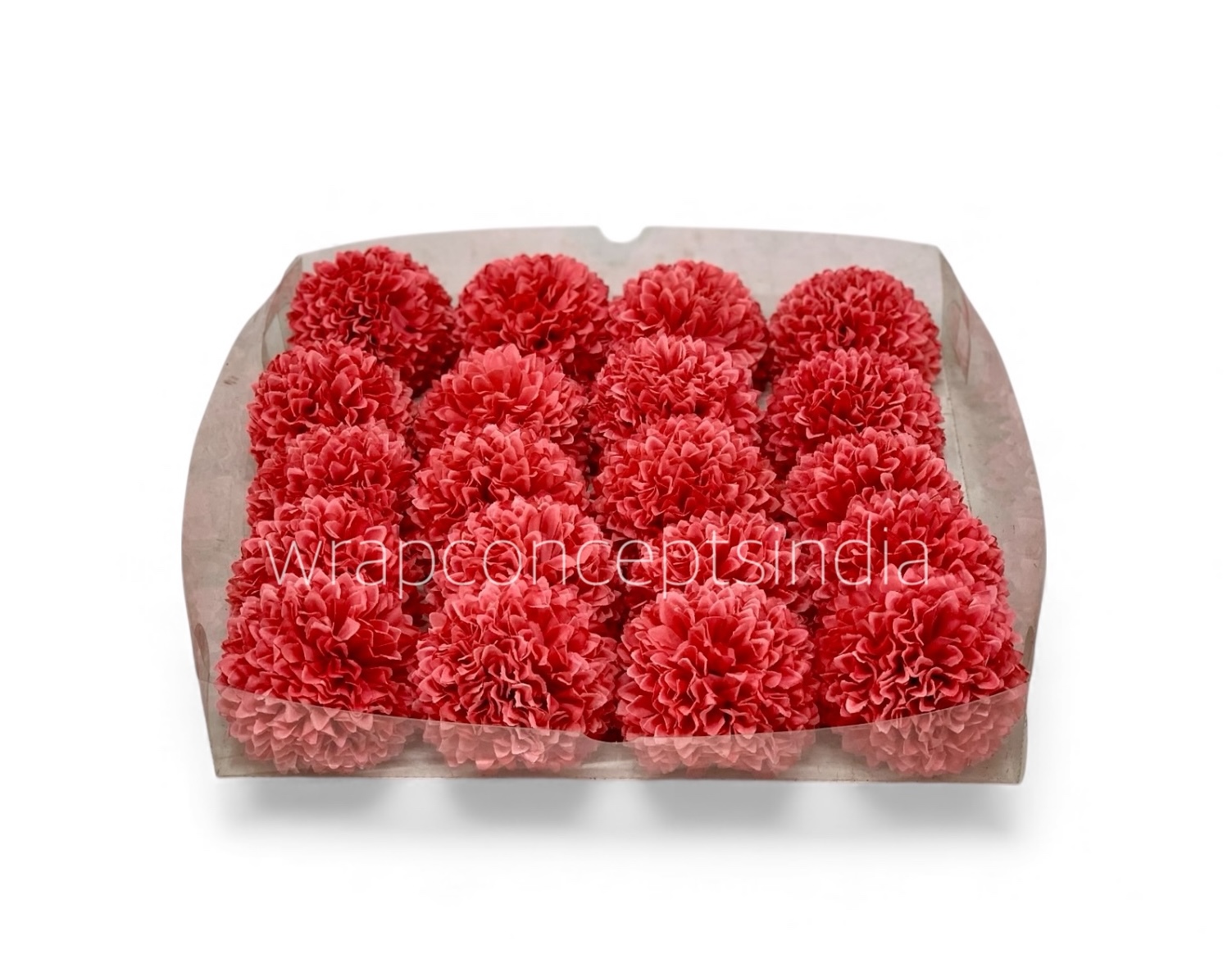 Blush Coral Carnation