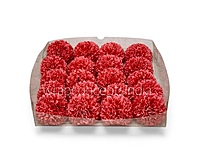 Blush Coral Carnation