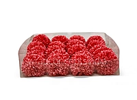 Blush Coral Carnation