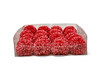 Blush Coral Carnation