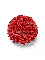Blush Coral Carnation