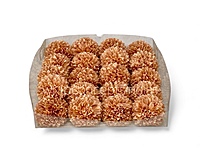 Soft Apricot Carnation