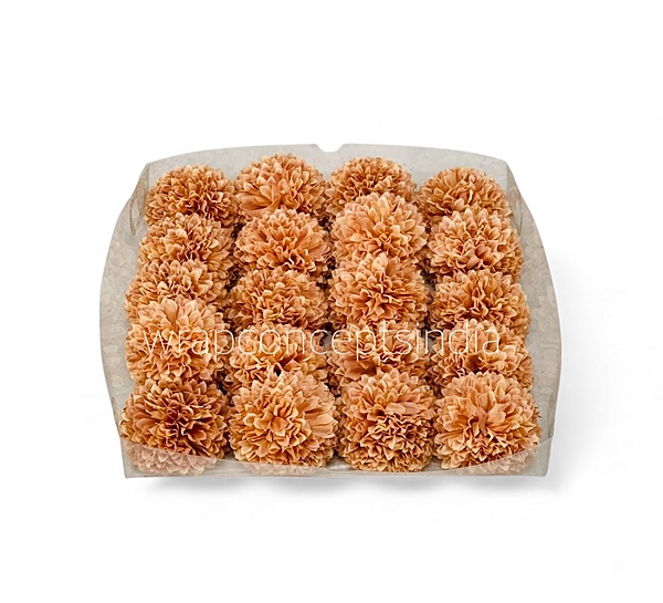 Soft Apricot Carnation