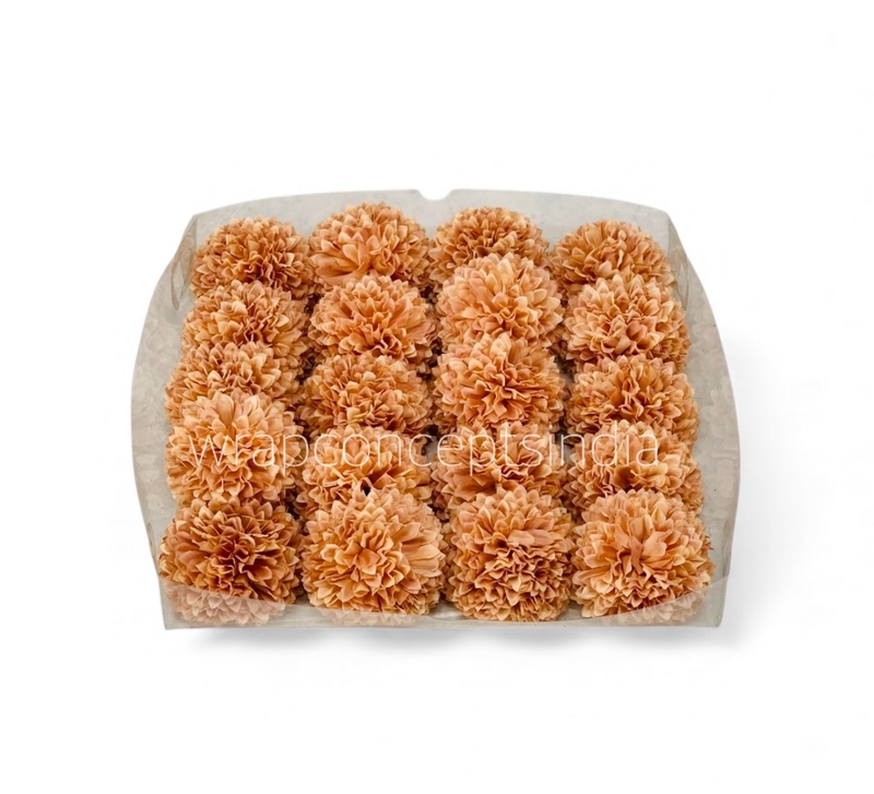 Soft Apricot Carnation