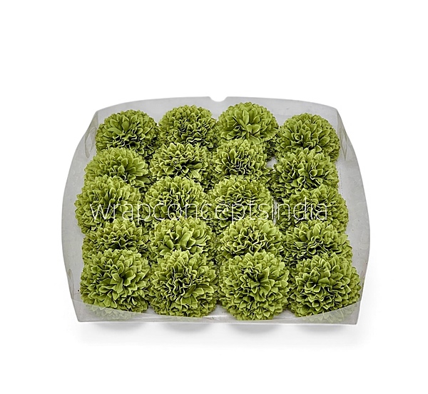 Meadow Green Carnation