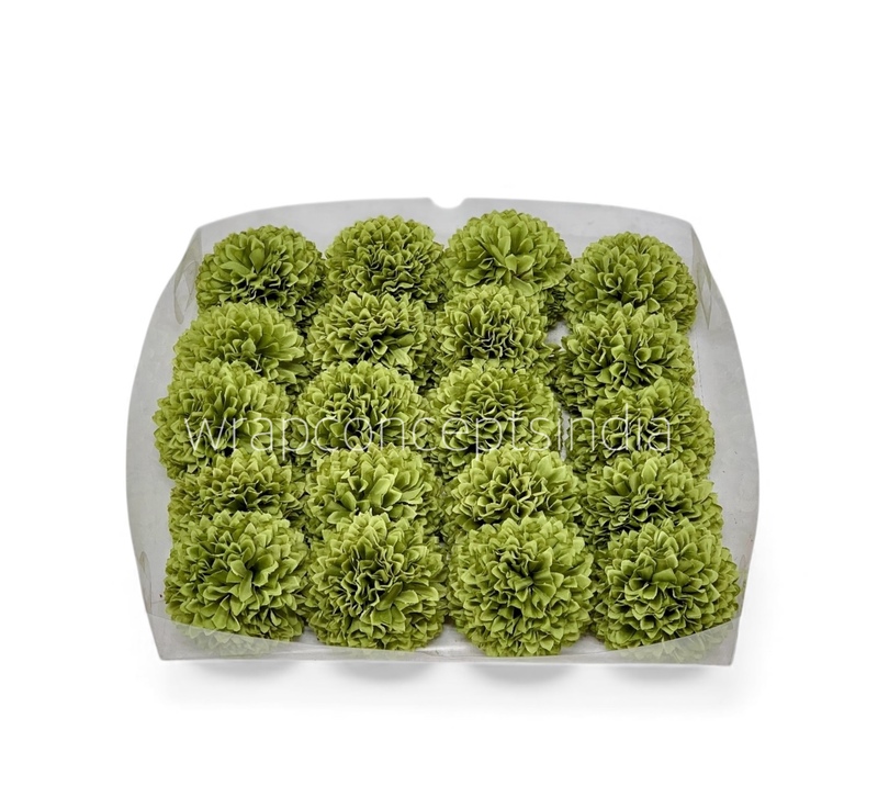 Meadow Green Carnation