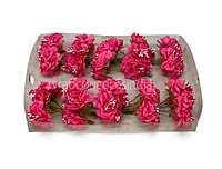 Deep Pink Windflower