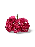 Deep Pink Windflower