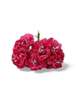 Deep Pink Windflower