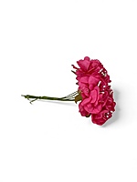 Deep Pink Windflower