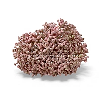 Baby Breath's Bunch