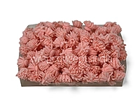 Peach Foam Carnation