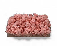 Peach Foam Carnation