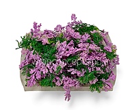 Green Fern Leaves with Lavender Edges