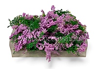 Green Fern Leaves with Lavender Edges