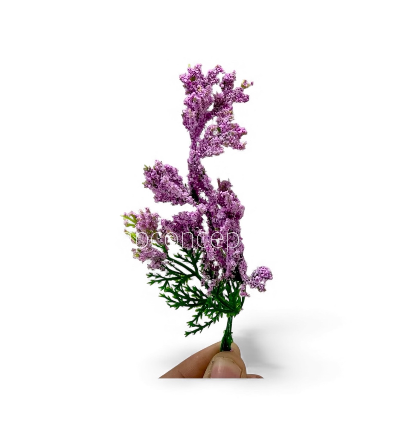 Green Fern Leaves with Lavender Edges