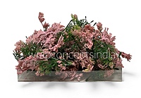 Green Fern Leaves with Light Pink Edges