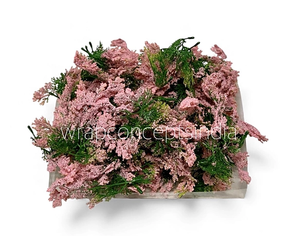 Green Fern Leaves with Light Pink Edges