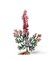 Green Fern Leaves with Light Pink Edges